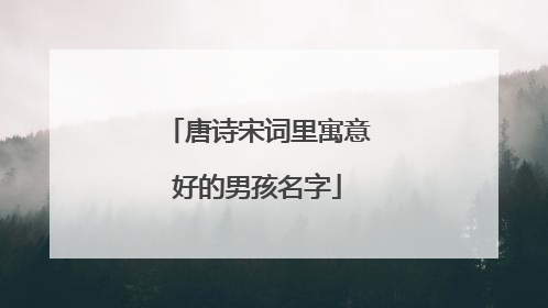 唐诗宋词里寓意好的男孩名字