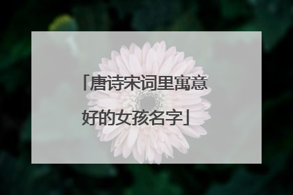 唐诗宋词里寓意好的女孩名字