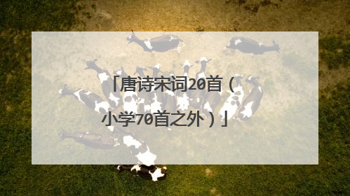 唐诗宋词20首（小学70首之外）