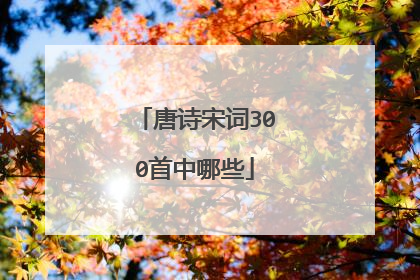 唐诗宋词300首中哪些