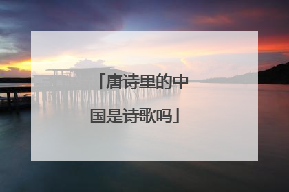 唐诗里的中国是诗歌吗