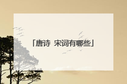 唐诗 宋词有哪些