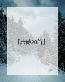 唐诗20首