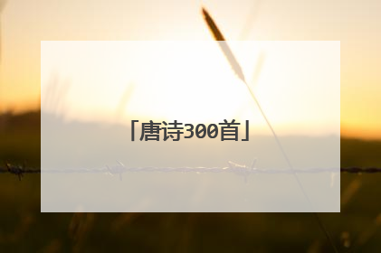 唐诗300首