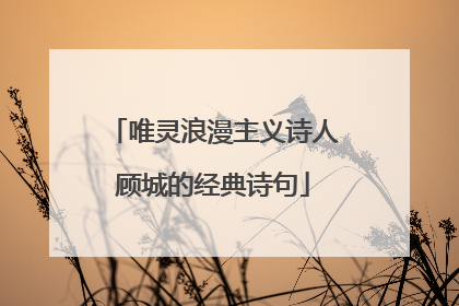 唯灵浪漫主义诗人顾城的经典诗句