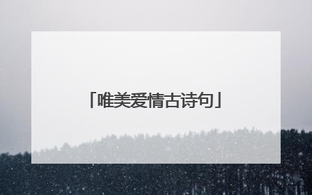 唯美爱情古诗句