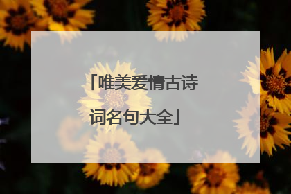 唯美爱情古诗词名句大全