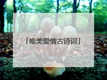 唯美爱情古诗词