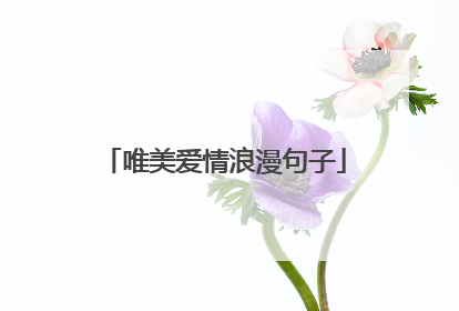 唯美爱情浪漫句子