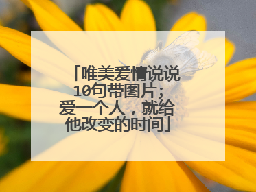 唯美爱情说说10句带图片;爱一个人，就给他改变的时间