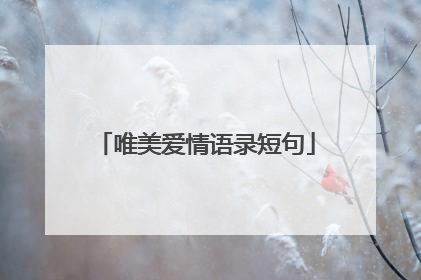 唯美爱情语录短句