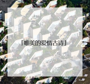 唯美的爱情古诗