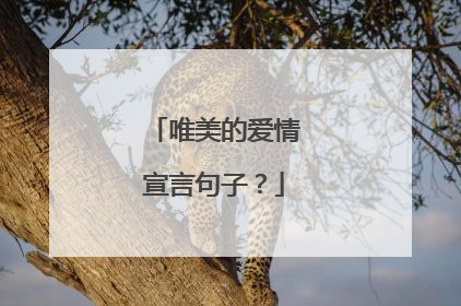 唯美的爱情宣言句子?