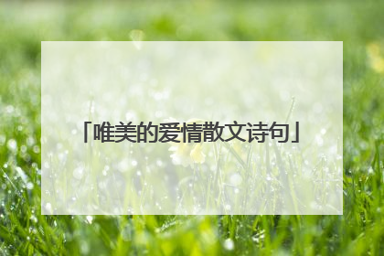 唯美的爱情散文诗句