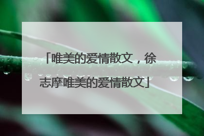 唯美的爱情散文,徐志摩唯美的爱情散文