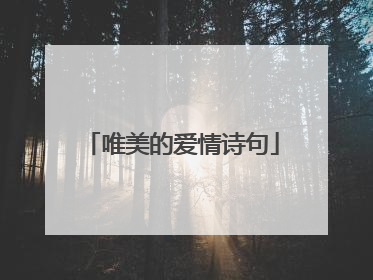 唯美的爱情诗句