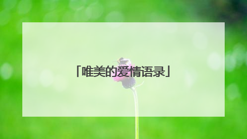 唯美的爱情语录