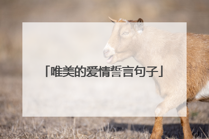 唯美的爱情誓言句子