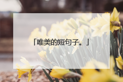 唯美的短句子。