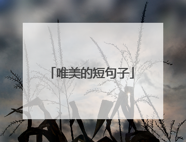 唯美的短句子