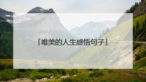 唯美的人生感悟句子