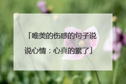 唯美的伤感的句子说说心情:心真的累了