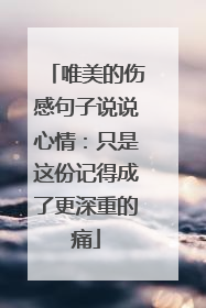 唯美的伤感句子说说心情:只是这份记得成了更深重的痛