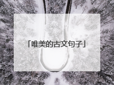 唯美的古文句子