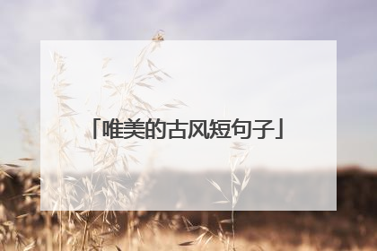 唯美的古风短句子