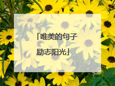 唯美的句子励志阳光