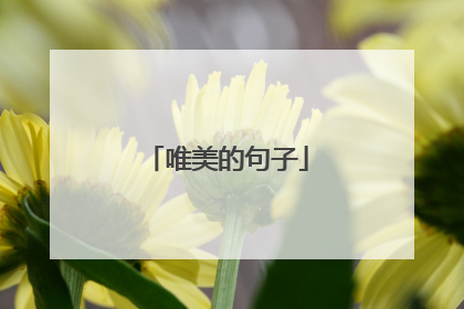 唯美的句子