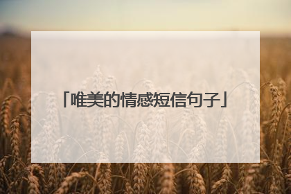 唯美的情感短信句子