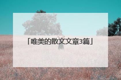 唯美的散文文章3篇