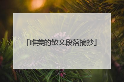 唯美的散文段落摘抄