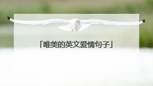 唯美的英文爱情句子