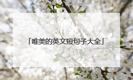 唯美的英文短句子大全