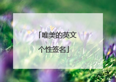 唯美的英文个性签名