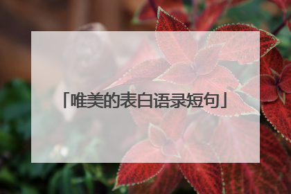 唯美的表白语录短句