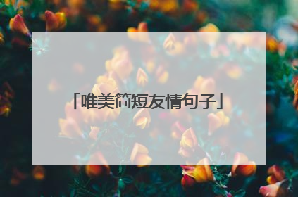 唯美简短友情句子