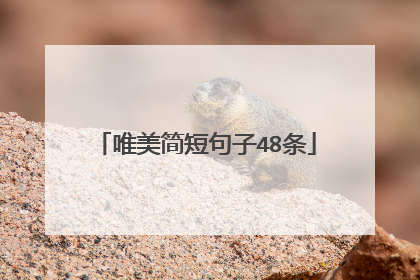 唯美简短句子48条