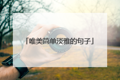 唯美简单淡雅的句子