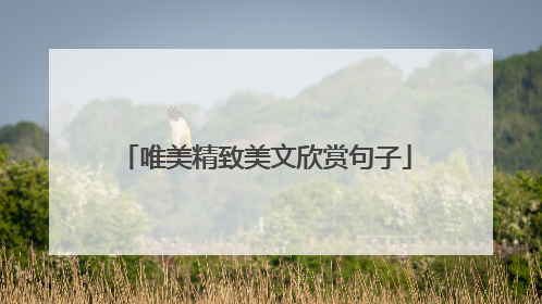 唯美精致美文欣赏句子