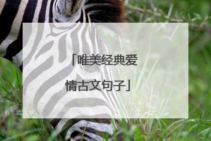 唯美经典爱情古文句子