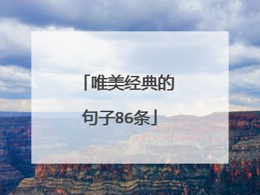 唯美经典的句子86条