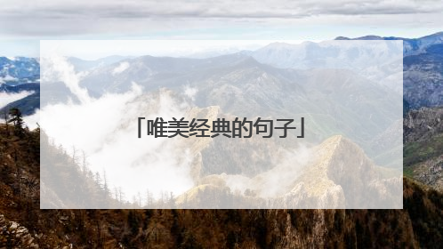 唯美经典的句子