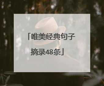 唯美经典句子摘录48条