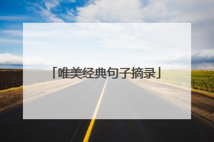 唯美经典句子摘录