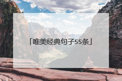 唯美经典句子55条