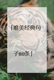 唯美经典句子80条