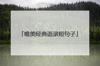 唯美经典语录短句子